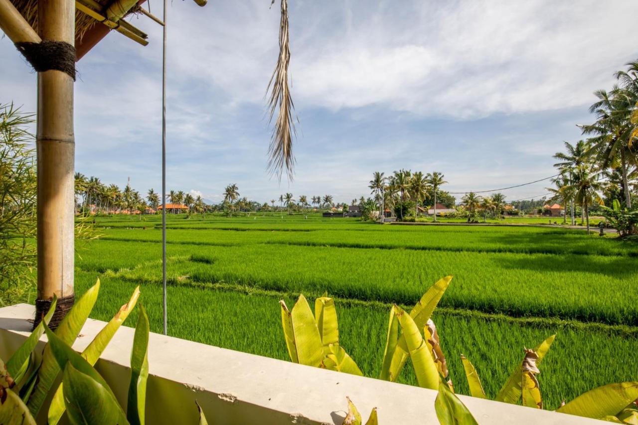 Sisin Ubud View Dış mekan fotoğraf